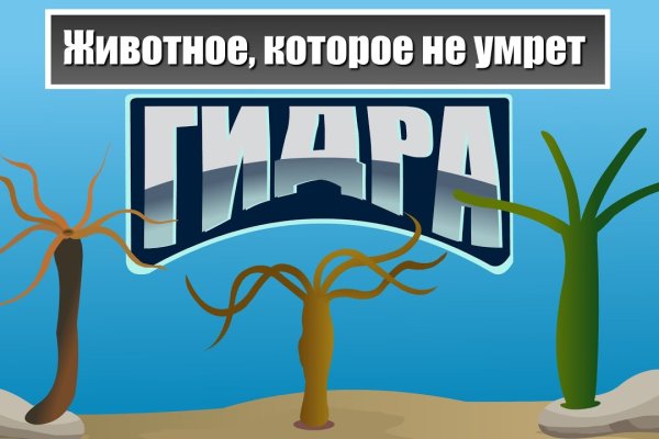 Kraken пользователь не найден при входе