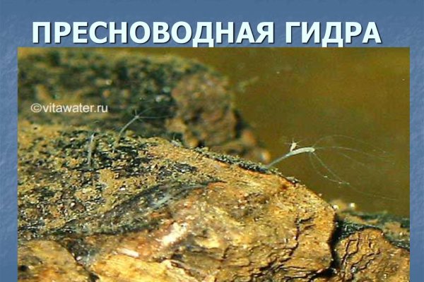 Гидра даркнет рынок