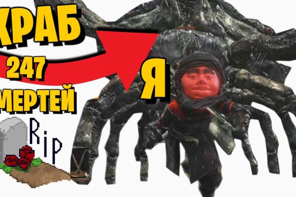 Kraken 24 top