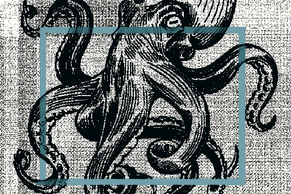 Kraken сайт tor