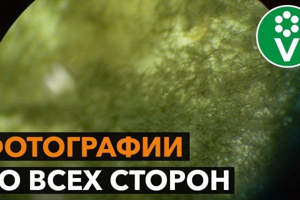 Какая сейчас ссылка на кракен