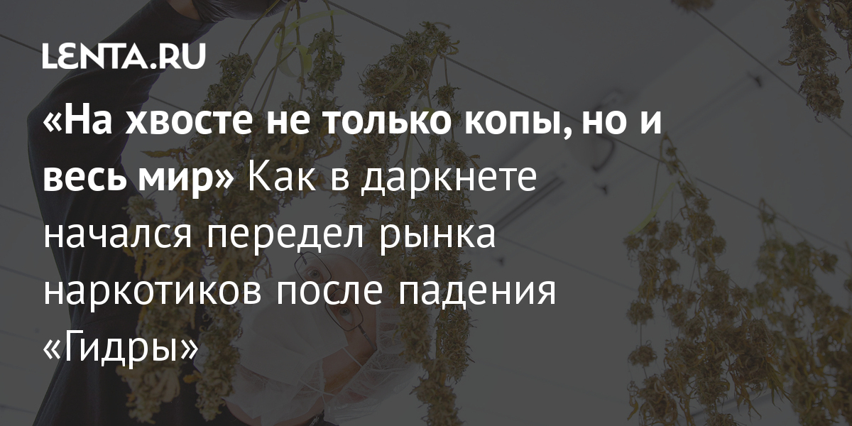 Мега кракен
