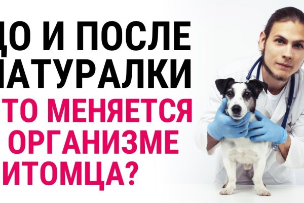 Ссылки на сайты в даркнете
