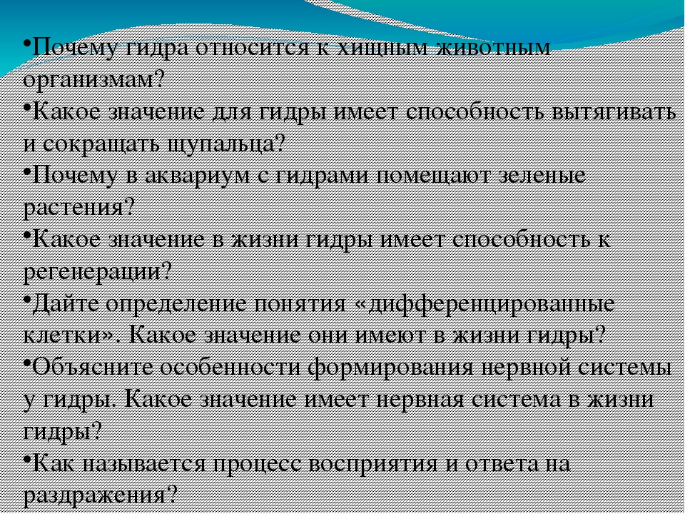 Кракен ссылка замена
